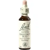 Nelsons Bach-Blüte Chestnut Bud 20 ML