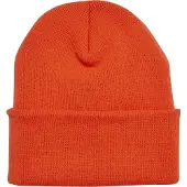 Flexfit Beanie "YP Classics Thinsulate Cuffed Beanie" 1 Stk.