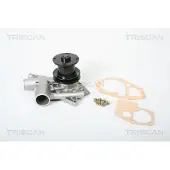 TRISCAN Wasserpumpe 8600 25080