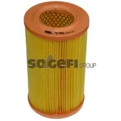 FRAM Luftfilter CA5930
