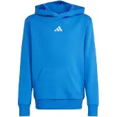 Adidas Kinder Kapuzensweat Essentials Kids