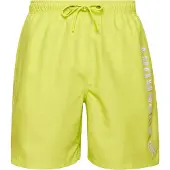 Superdry Code Applque 19inch Badeshorts