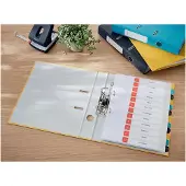 Leitz 10620019, Konventioneller Dateiordner, A4, Karton, Gelb, Matt, Porträt