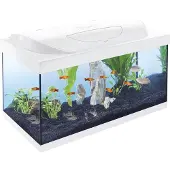 Tetra Aquarium Starter Line LED 54 L weiß GLO689506642