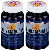 GALL PHARMA Topinambur P 400 mg GPH Kapseln 2x 2x60 St