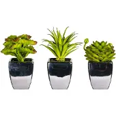 Otto Home Kunstpflanze "Loreen" im Topf, 3er Set