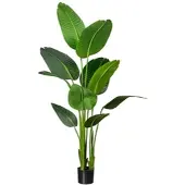 Creativ Green Künstliche Pflanze Strelitzia nicolai 160cm im Topf
