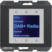 Berker 30847006 Radio DAB+, Bt., K.x anth.