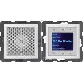 Berker S.1/B.X RADIO DAB+/BT PW MATT (30809909 RADIO SET)