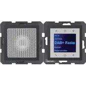 Berker S.1/B.X RADIO DAB+ ANT MATT (29801606 RADIO SET)