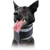 Kvp Bite Free Hundehalsband