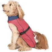 Dog Gone Smart Acacia Hunde Regenmantel