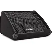 SubZero Aktiver 10"-Bodenmonitor 200 W