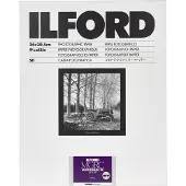 Ilford | Fotopapier | 50 Blatt 24x30 Cm
