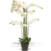 Fleur Ami Künstliche Orchidee weiß 140 cm