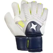 Derbystar Protect Attack XP17 Torwarthandschuhe navy/grau 6