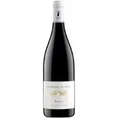 Domaine Olivier Bourgueil - Cuvée Vieilles Vignes 2022 -