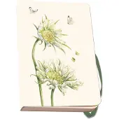 Bekking & Blitz Notizbuch A6, weicher Einband: Weiße Eleganz, Janneke Brinkman-Salentijn