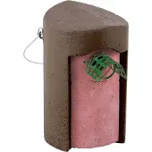 Schwegler Holzbeton Nisthöhle 1B mit Marderschutz, Flugloch 26 mm