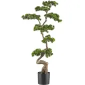 P&b Kunstpflanze Bonsai Grün