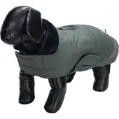 Designed By Lotte Hundemantel Zhanti - Grün - 52 cm