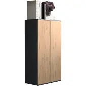 VCM Holz Kommode | Sideboard mit Drehtüren | Maße ca. H. 108 x B. 60 x T. 32 cm - Dalosa 3