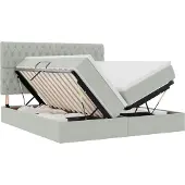 Syfax Aufbewahrungsbett mit Matratze Hellgrau 180 x 200 cm Samt