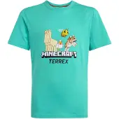 Adidas Minecraft Terrex Kurzarm-t-shirt