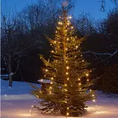 Hellum LED Lichterkette Baum Deko Beleuchtung außen 250 LEDs Weihnachten 10-Stränge