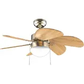 Cecotec Energysilence Aero 360 &amp; Deckenventilator