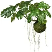 Creativ Green Kunstpflanze "Splitphilodendron" Pflanze als Hänger auf Wurzel mit Farnzweigen und Luftwurzeln