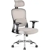 Huzaro Manager 3.2 | Ergonomischer Bürostuhl Lendenwirbelstütze und Verstellbarer Kopfstütze | Grau