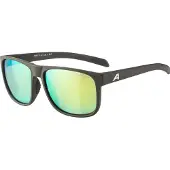 Alpina sport Sonnenbrille Alpina Nacan III Coffee Grey Matt