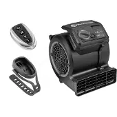 Vacmaster Ventilatoren Cardio54 Gym Bodenventilator mit Fernbedienung Fahrradlüfter Lautlos Lüfter AM1202R