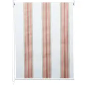 Mendler Rollo MCW-D52, Fensterrollo Seitenzugrollo Jalousie, Sonnenschutz Verdunkelung blickdicht 90x160cm weiß/rot/beige