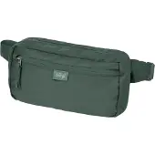 Baagl Nierentasche Go Green GRS grün wasserdicht 26x14x6 cm mit 2L Volumen und Organizer