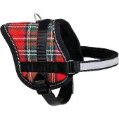 Karlie Teeny Weeny Geschirr rot-weiss B 15 mm 36-46 cm