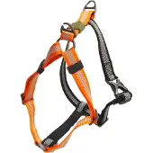 Afp Geschirr Off Street mandarine, Größe: XL / Breite: 2,5 cm