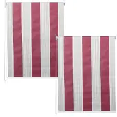 Mendler 2er-Set Rollo MCW-D52, Fensterrollo Seitenzugrollo Jalousie, 100x160cm Sonnenschutz blickdicht rot/weiß/beige