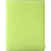 Esquire Leder Geldbörse Viktoria Wallet Sharp Green hellgrün