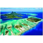 Eurographics Coral Reef 1000pc