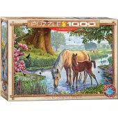 Eurographics Puzzle Fellponys 1000 Teile