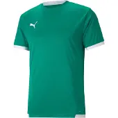 Puma Teamliga Trikot Kurzarm Kinder - Grün / Weiß