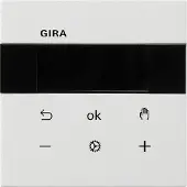 Gira RTR Display 5393112