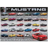 Eurographics Ford Mustang Evolution 1000pcs, 1000 Stück(e), Fahrzeuge