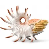 Collecta Cooperoceras handbemalte Figur