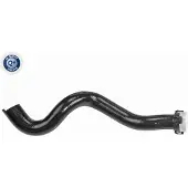 VAICO Kühlerschlauch Wasserschlauch passend für PEUGEOT 405 I (15B) V42-0760