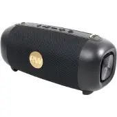 PEAQ PPA 405-RW Robbie Williams Edition Schwarzer kabelloser Lautsprecher