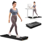 Kingsmith King Smith Fitness Walkingpad A1 pro