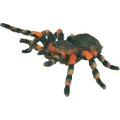 Collecta Mexikanische Vogelspinne - (L)